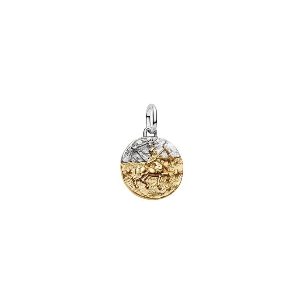 Charm Medallion Sagittario [266dc2d8]