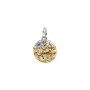 Charm Medallion Sagittario [266dc2d8]