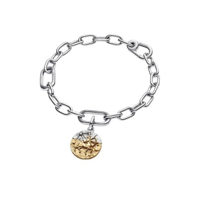 Charm Medallion Sagittario [266dc2d8]