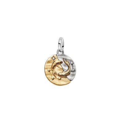 Charm Medallion Pesci [8b4e0cd3]