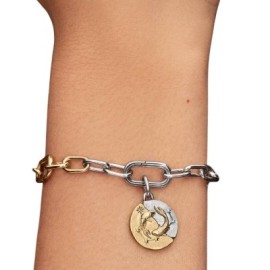Charm Medallion Pesci [8b4e0cd3]
