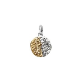 Charm Medallion Vergine [5a3466bc]