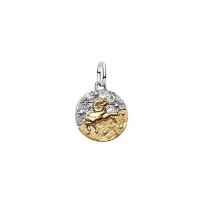 Charm Medallion Ariete [6ebd2fa9]