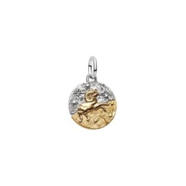Charm Medallion Ariete [6ebd2fa9]