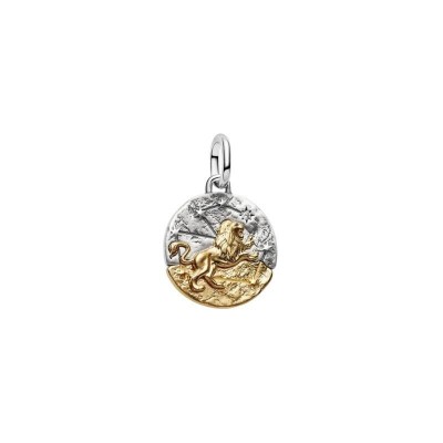 Charm Medallion Leone [546dd7bf]