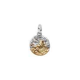 Charm Medallion Leone [546dd7bf]