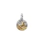 Charm Medallion Leone [546dd7bf]