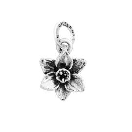 Charm Narciso Piccolo [806be025]