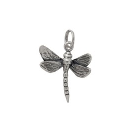 Charm Libellula [b084bc56]