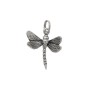 Charm Libellula [b084bc56]
