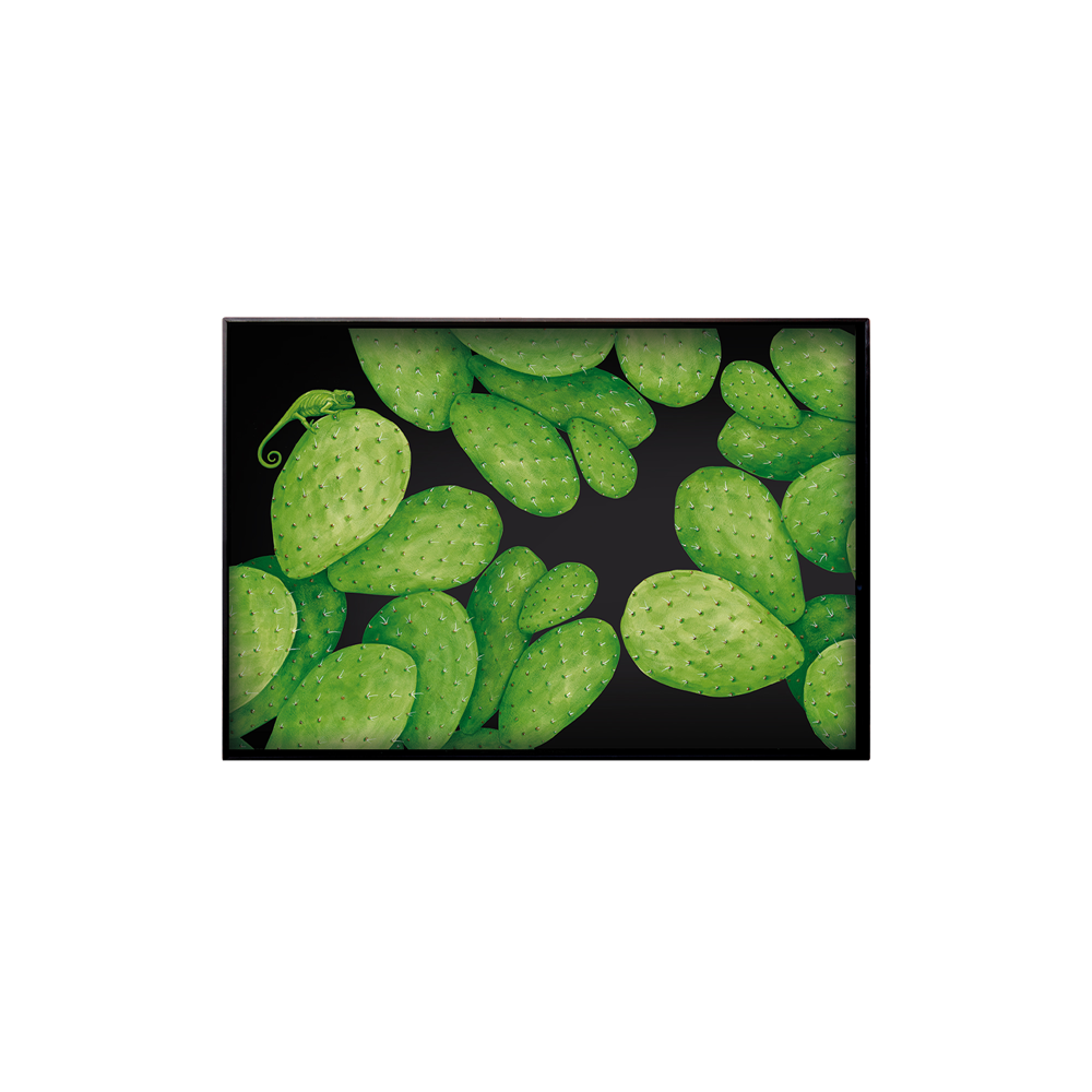 Vassoio Taitù Cactus [bc1137d3]