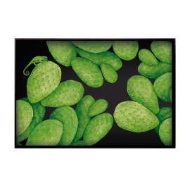 Vassoio Taitù Cactus [bc1137d3]