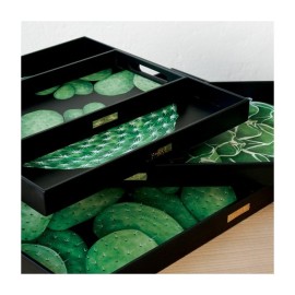 Vassoio Taitù Cactus [3d5710b0]